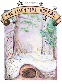 Essential Herbal Magazine